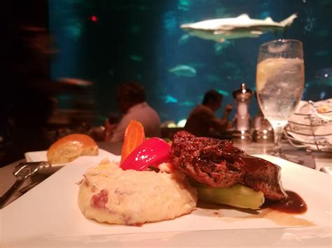 Brave the depths: Sharks and fine dining at the underwater grill